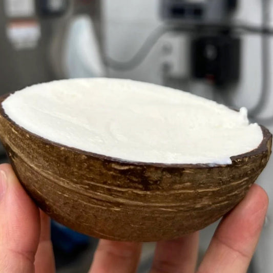 Cocolato by Gelatero Coconut Shell Gelato Box 12 units